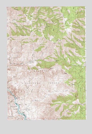 Grave Point, ID USGS Topographic Map