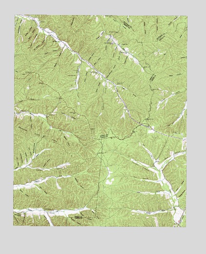 Graves Spring, TN USGS Topographic Map