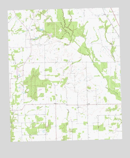 Grays Prairie, TX USGS Topographic Map