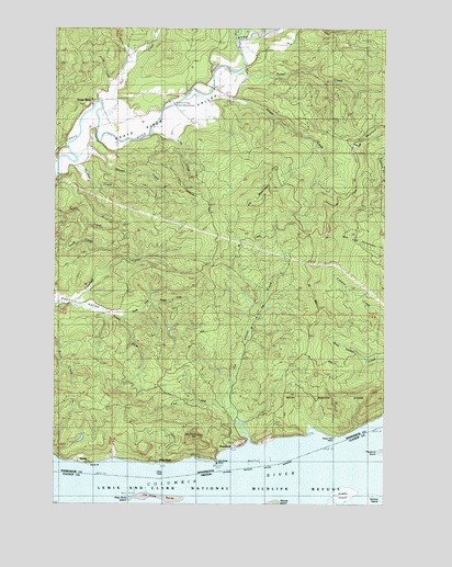 Grays River, WA USGS Topographic Map