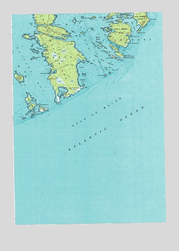 Great Wass Island, ME USGS Topographic Map