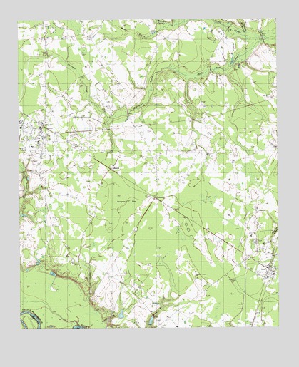 Greeleyville, SC USGS Topographic Map