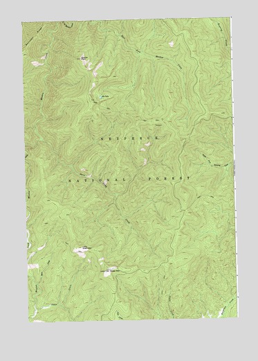 Green Mountain, ID USGS Topographic Map