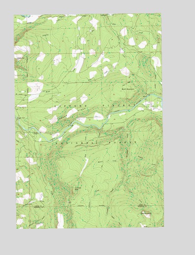 Greenhorn Buttes, WA USGS Topographic Map