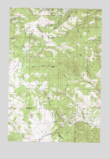 Greenhorn Mountain, MT USGS Topographic Map