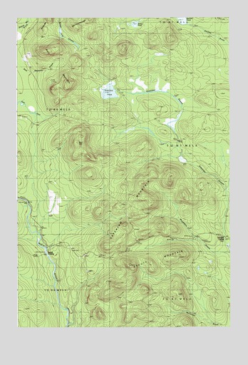 Greenlaw Pond, ME USGS Topographic Map