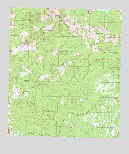 Greenville SE, FL USGS Topographic Map