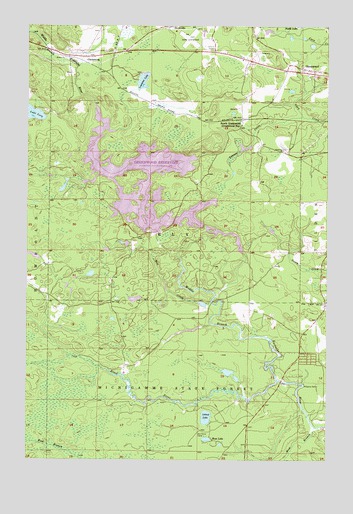 Greenwood, MI USGS Topographic Map