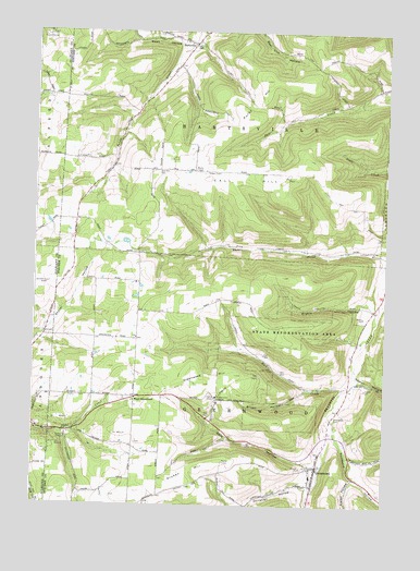 Greenwood, NY USGS Topographic Map
