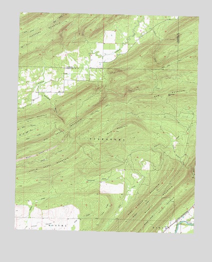 Adel, OK USGS Topographic Map