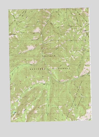 Greyhound Mountain, ID USGS Topographic Map