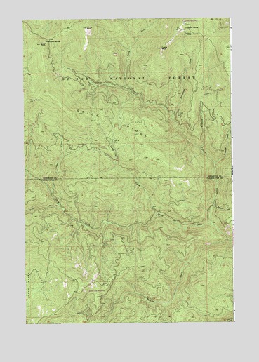 Grice Ridge, ID USGS Topographic Map