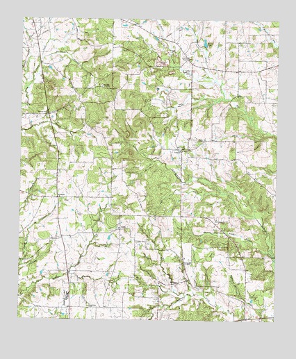 Griffin, TX USGS Topographic Map