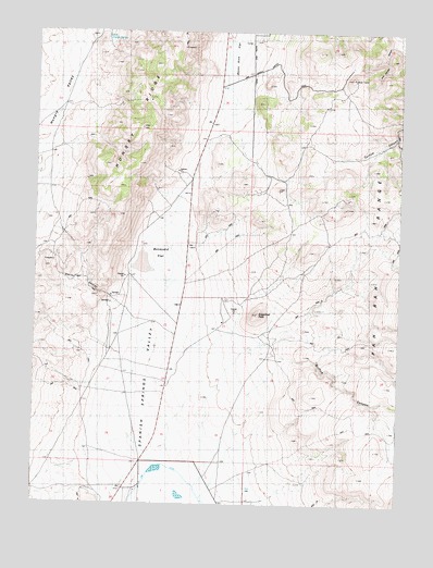 Griffith Canyon, NV USGS Topographic Map