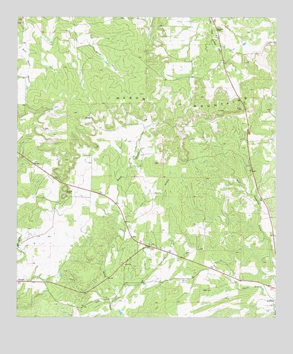 Grit, TX USGS Topographic Map