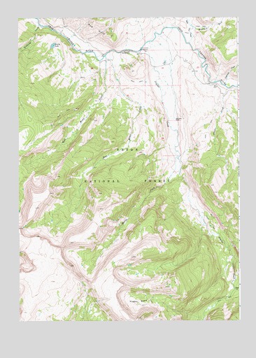 Grizzly Lake, WY USGS Topographic Map