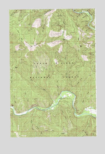 Grizzly Mountain, ID USGS Topographic Map