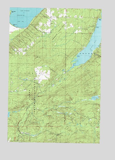 Aura, MI USGS Topographic Map