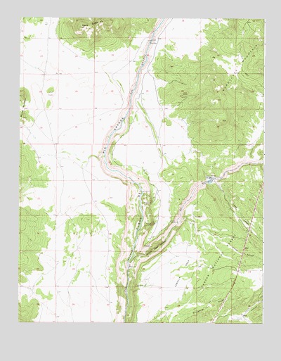 Guadalupe Mountain, NM USGS Topographic Map