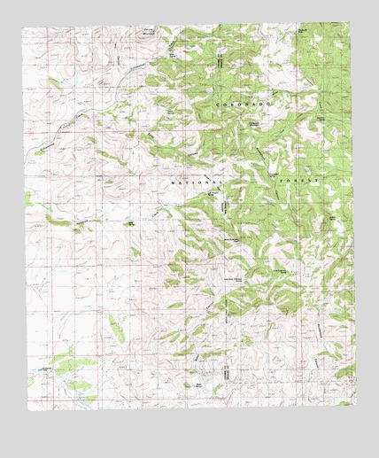 Guadalupe Spring, NM USGS Topographic Map