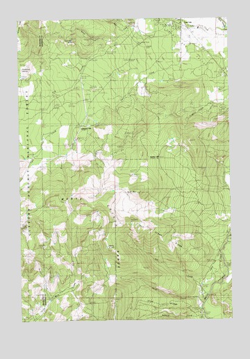 Guler Mountain, WA USGS Topographic Map