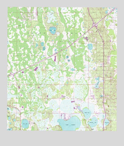 Gum Lake, FL USGS Topographic Map