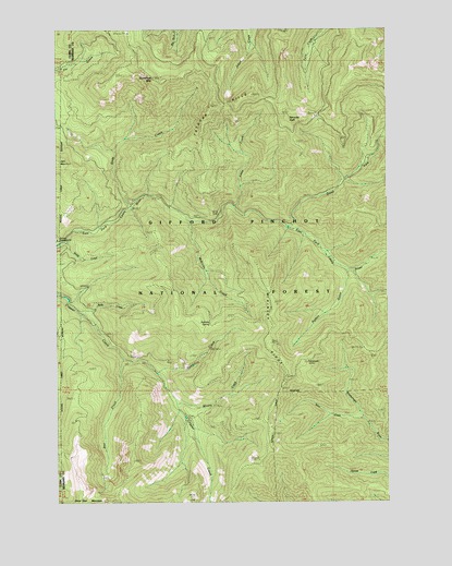 Gumboot Mountain, WA USGS Topographic Map