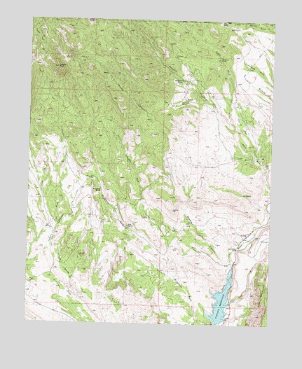 Gunlock, UT USGS Topographic Map