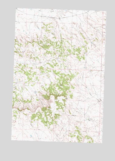 Guthridge Ranch, MT USGS Topographic Map