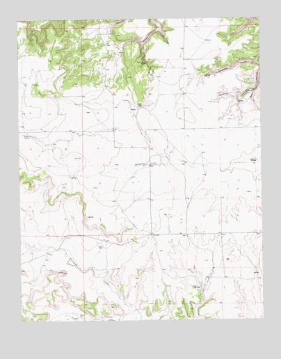 Guy, NM USGS Topographic Map