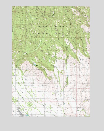 Halfway, OR USGS Topographic Map