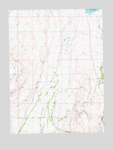 Halleck SW, NV USGS Topographic Map