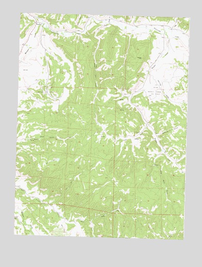 Hamilton, CO USGS Topographic Map