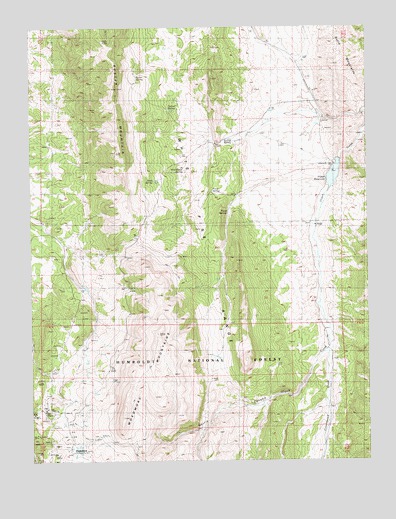 Hamilton, NV USGS Topographic Map