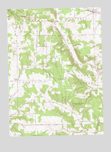Hamlet, NY USGS Topographic Map