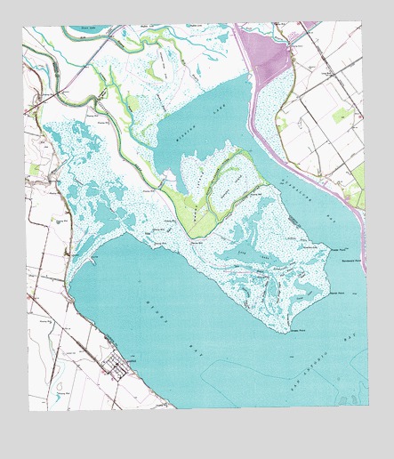 Austwell, TX USGS Topographic Map