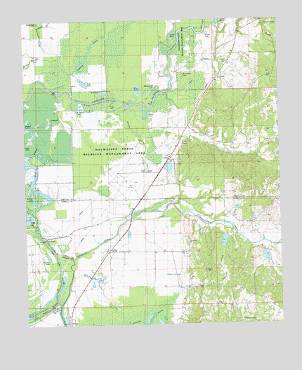 Avalon, MS USGS Topographic Map