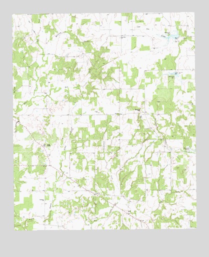 Adell, TX USGS Topographic Map