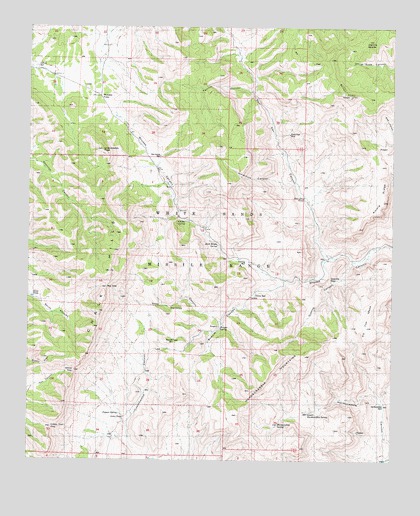 Hardscrabble Mountains, NM USGS Topographic Map