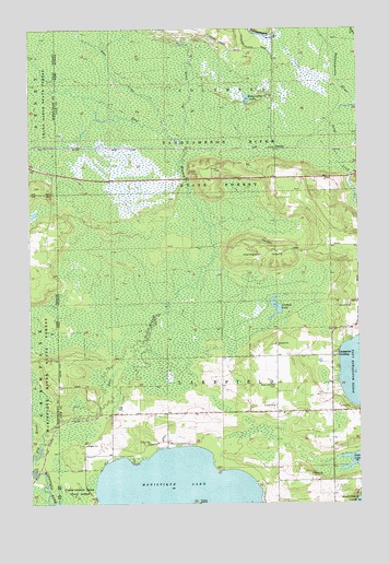 Hardwood Island, MI USGS Topographic Map