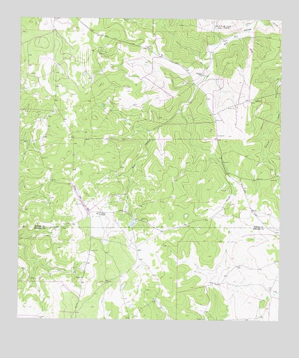 Harrison Ranch, TX USGS Topographic Map