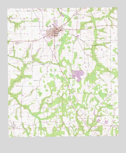 Hartford, AL USGS Topographic Map