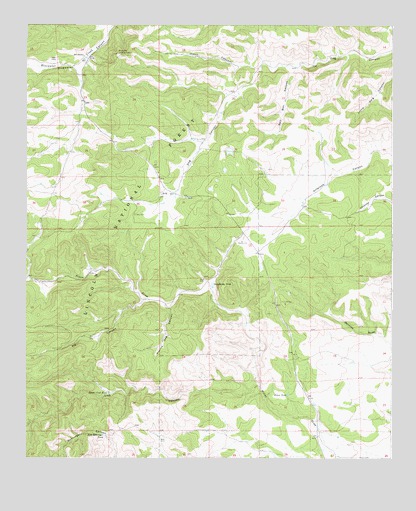 Avis, NM USGS Topographic Map