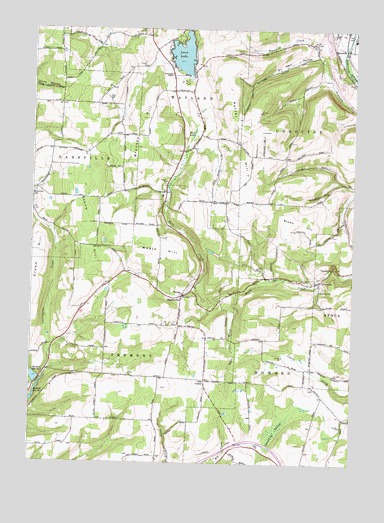 Haskinville, NY USGS Topographic Map