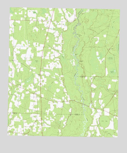 Hastings Fish Pond, GA USGS Topographic Map