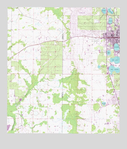 Avon Park, FL USGS Topographic Map
