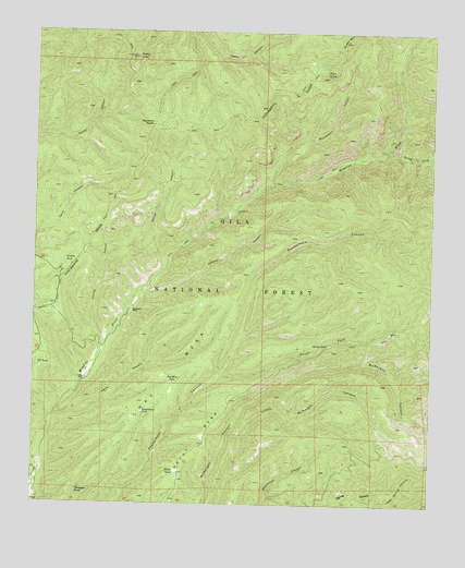 Hay Mesa, NM USGS Topographic Map