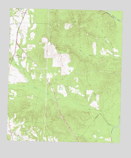 Hayneville, GA USGS Topographic Map