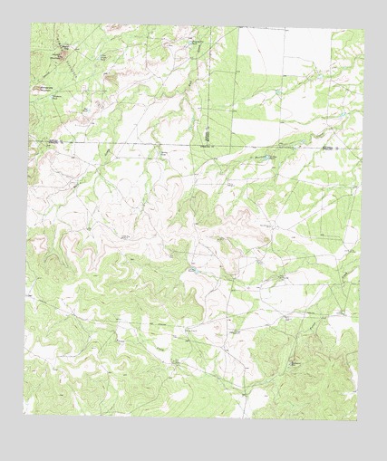 Hayrick Mountain, TX USGS Topographic Map