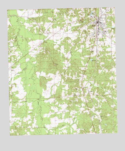 Hazlehurst, MS USGS Topographic Map
